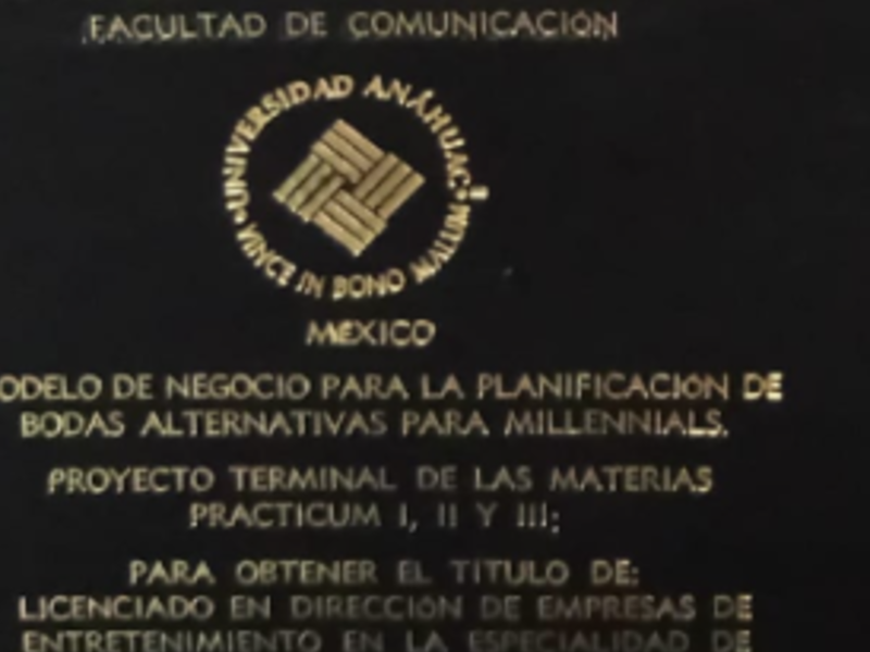 Empastado personalizado Cda. México