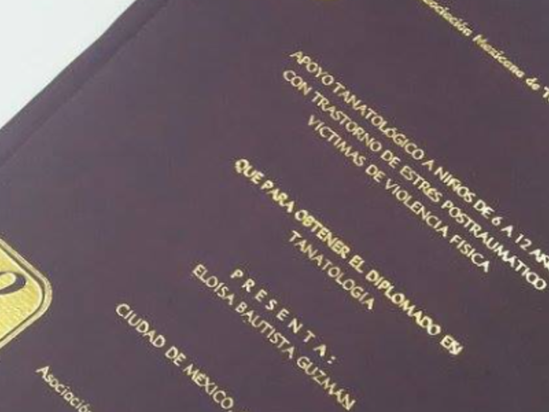 Carpeta Cda. México
