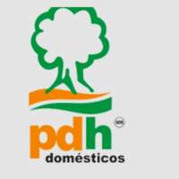 Proveedora pdh