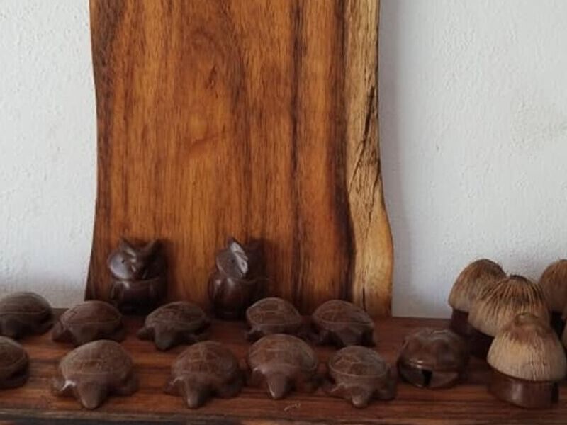 Tortugas Madera México