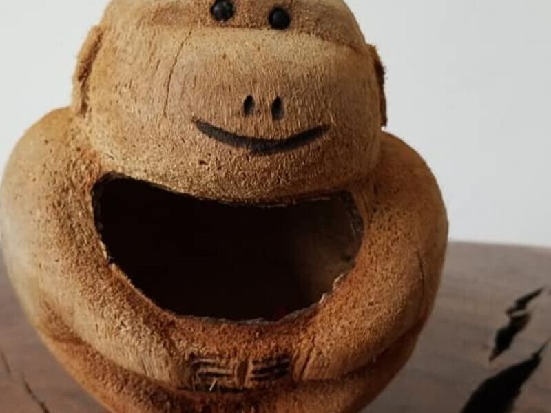 Monito Madera México