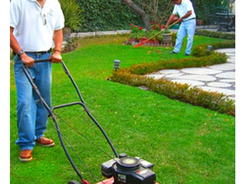 ARREGLOS JARDINERIA MÉXICO