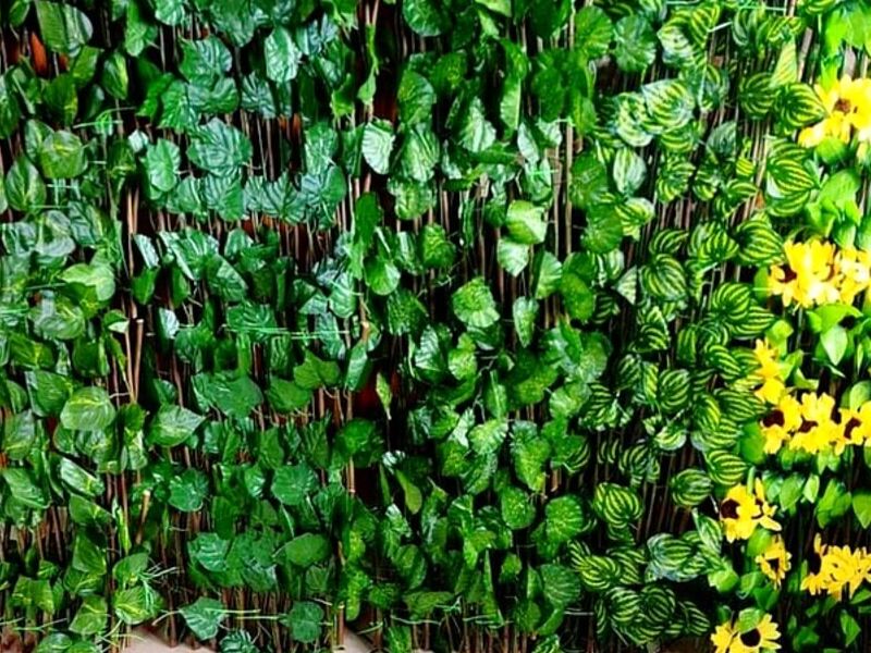 Plantas de plastico Guatemala
