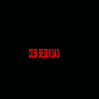 Cdsi seguridad