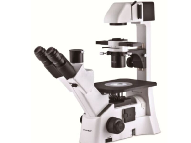 Microscopio Trinocular Tijuana