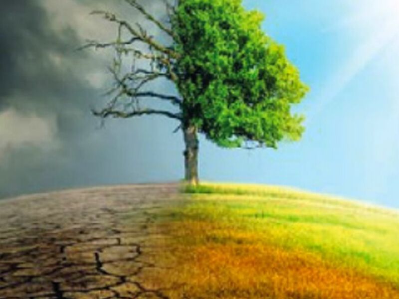 Consultoría en Ecoeficiencia Tonalá  