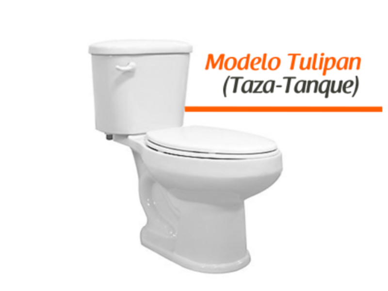 Sanitario Modelo Tulipan Culiacan