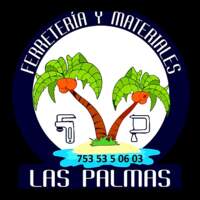 Ferreteria y Materiales Las Palmas Mich