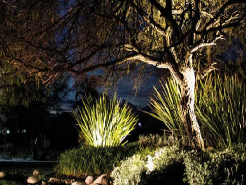 Iluminación de Jardín México 