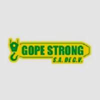 GRÚAS GOPE STRONG