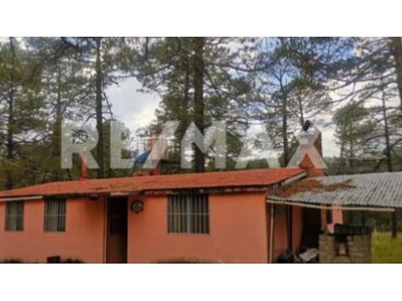 Venta Cabaña México