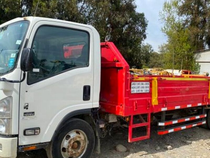 Camion Plano