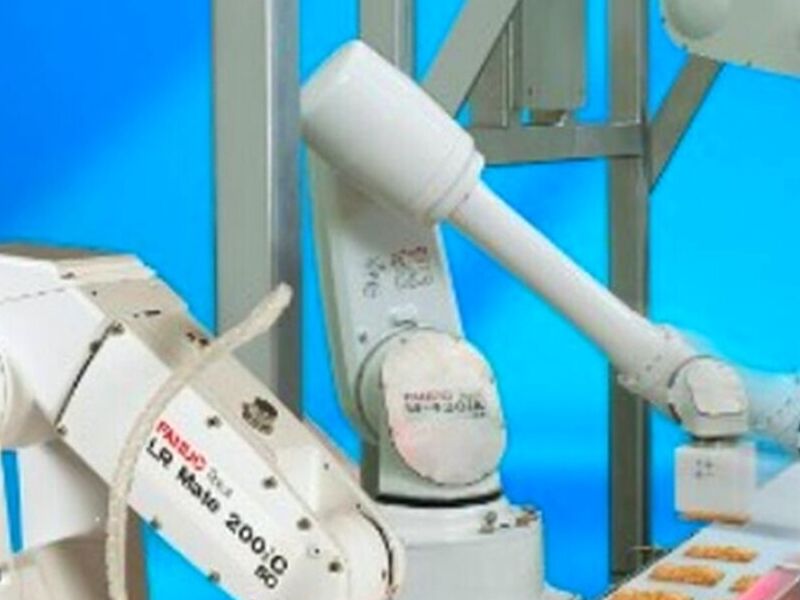 Robots Alimentos México