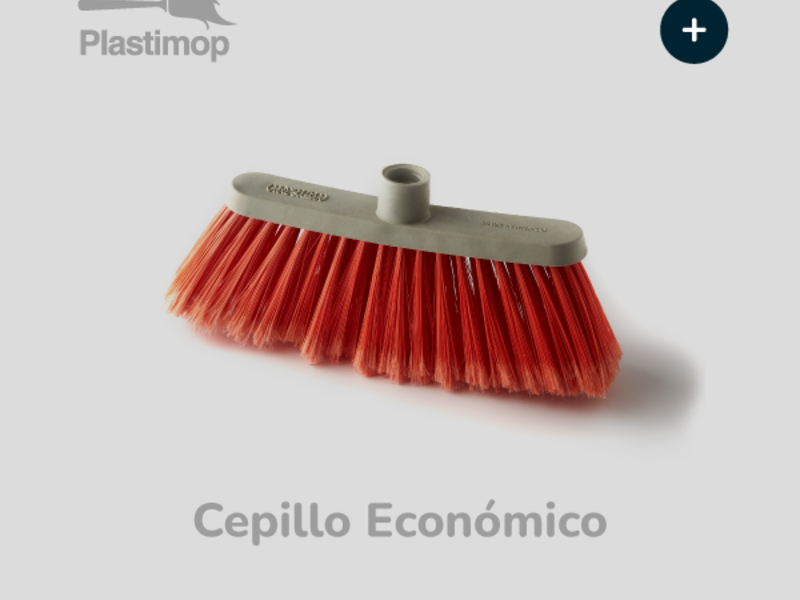Escobas Cepillo Económico México