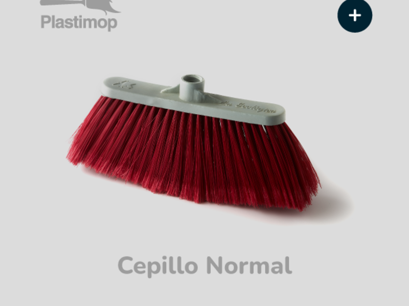Escobas Cepillo Normal México