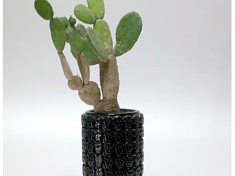 Pantli S - Negro México