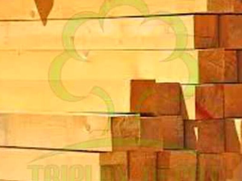 Madera polin México