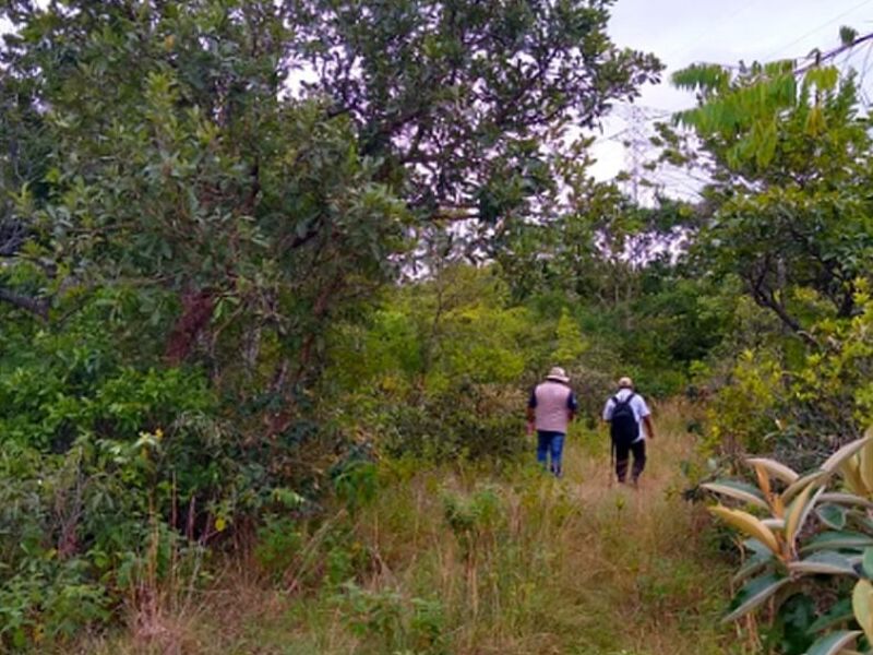 Mediciones Nezahualcóyotl