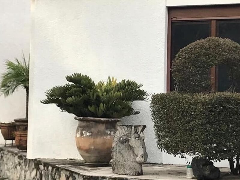 CASA VENTA  Alemán ZAPOPAN