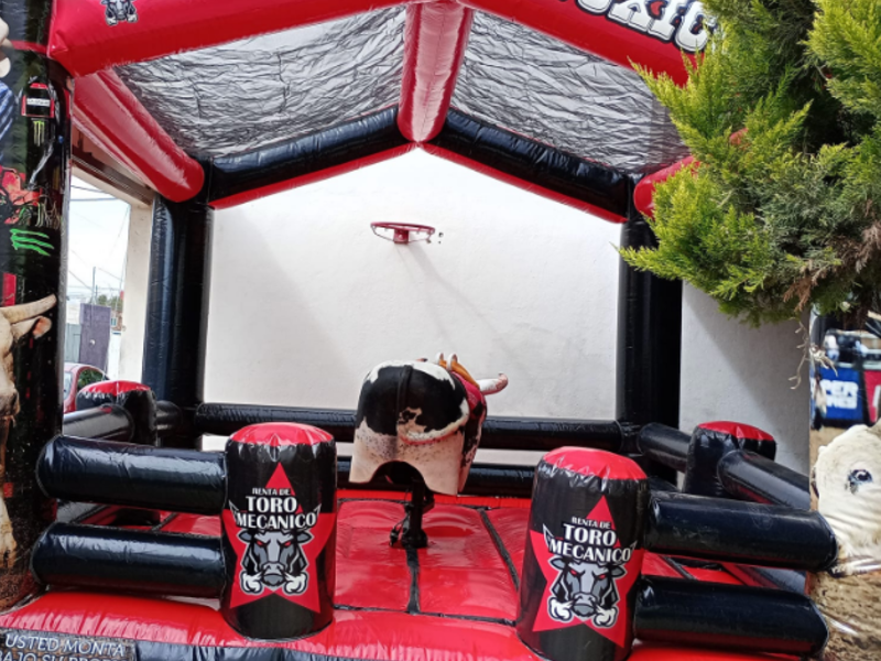 INFLABLE GUADALAJARA