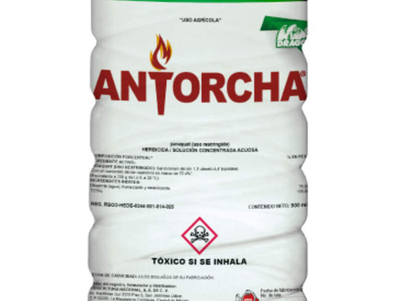 ANTORCHA MÉXICO