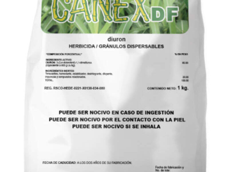 CAÑEX DF MÉXICO