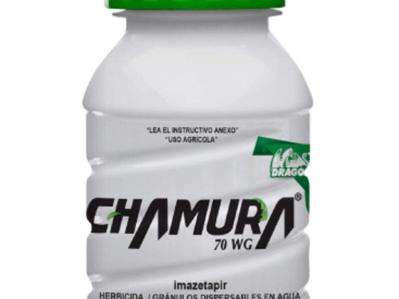 CHAMURA MÉXICO