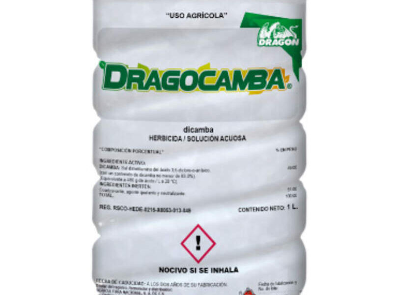 DRAGOCAMBA MÉXICO