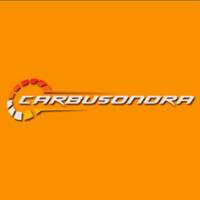 CarbuSonora S.A