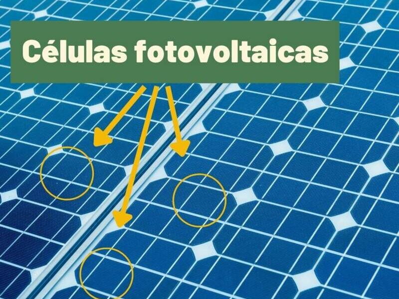 Paneles fotovoltaicos Grupo Insolar Jalisco