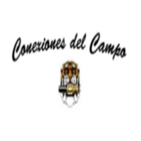 Conexiones del campo