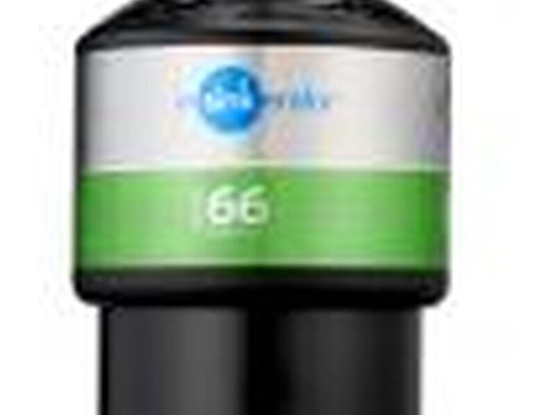 Modelo 66 México