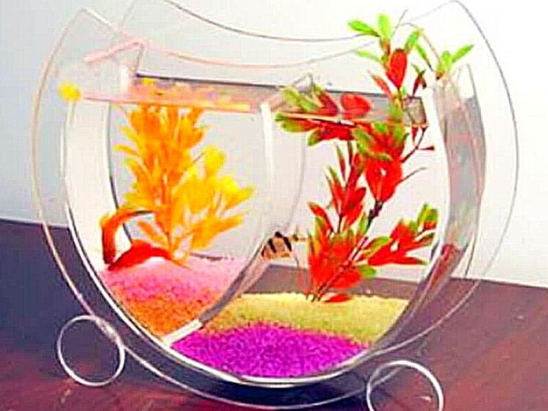 Peceras de acrílico