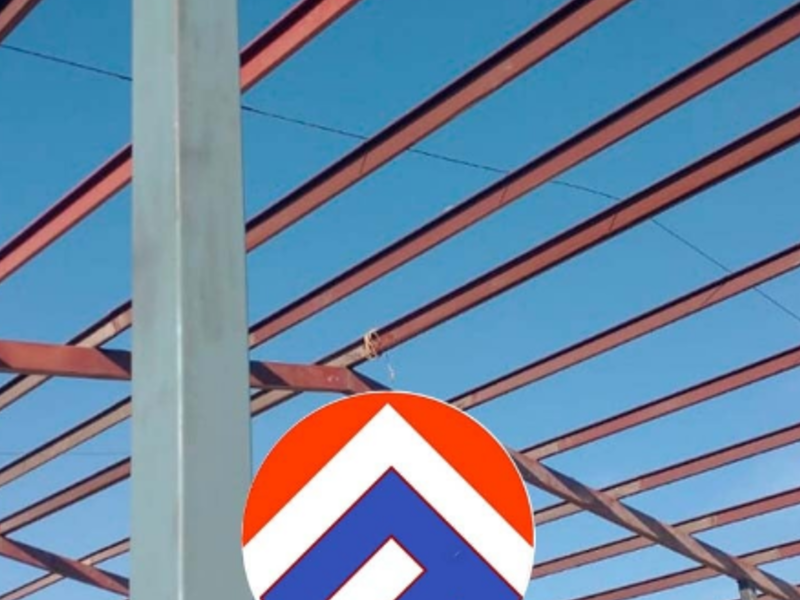 ESTRUCTURA GUERRERO