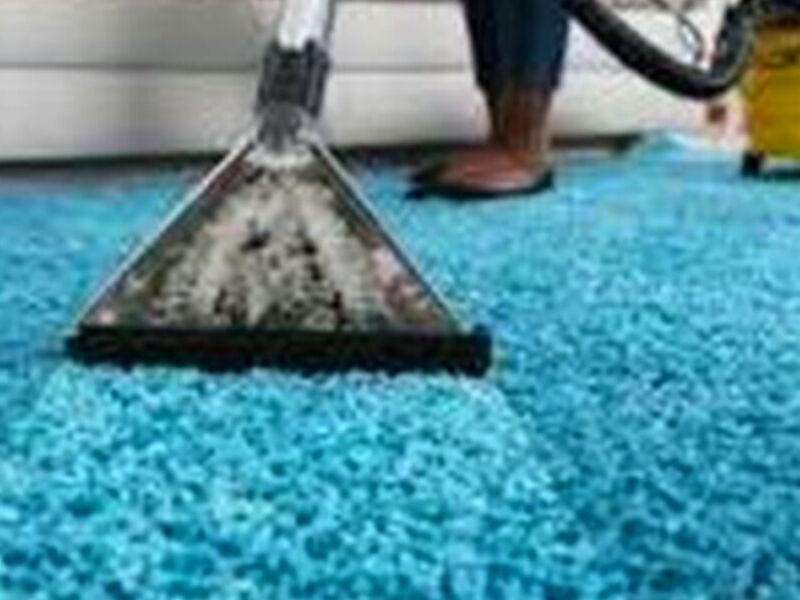 LAVADO ALFOMBRAS TAPICERIA MX
