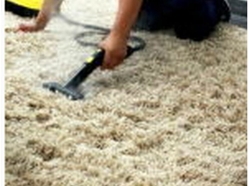 LIMPIADOR ALFOMBRAS SECO MX