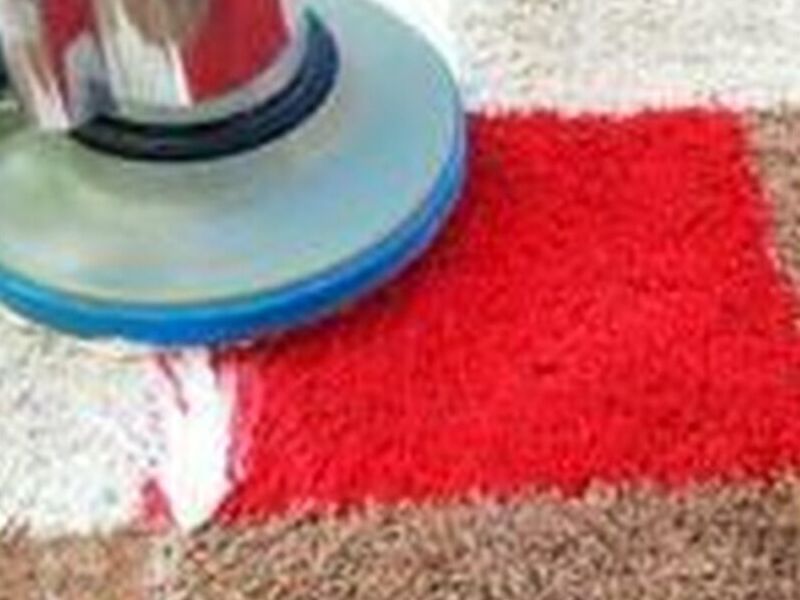 LIMPIADOR ALFOMBRAS VAPOR MX