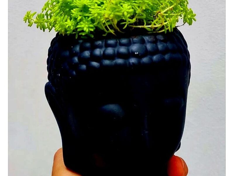 Maceta Calavera negra Mexico