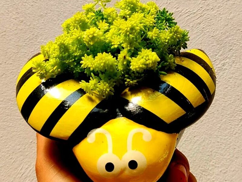 Maceta pequeña diseño abeja Mexico