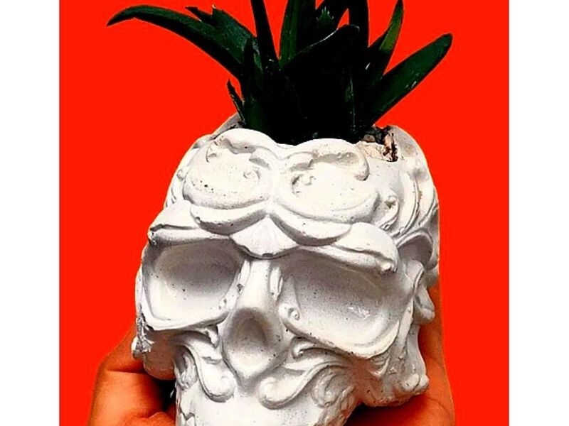 Maceta Calavera blanca Mexico