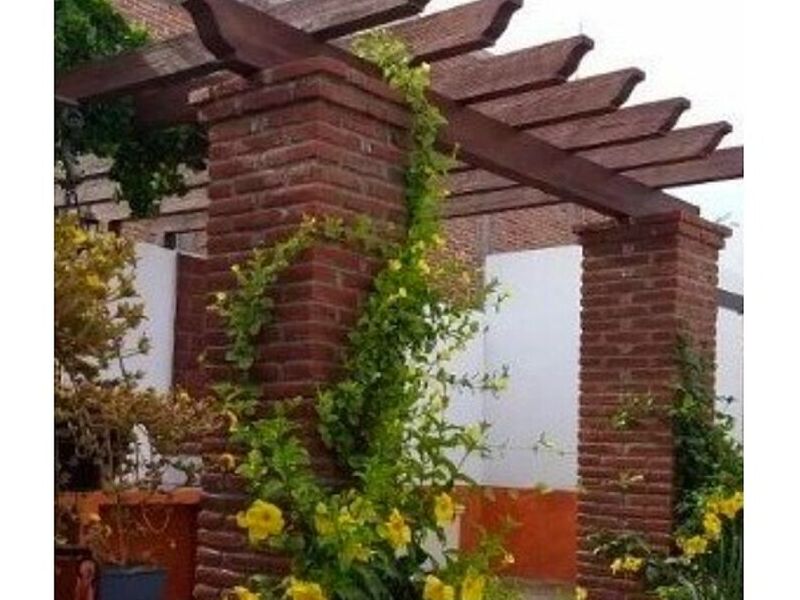 Pergola Culiacan,