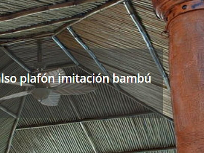 Falso plafon bambu Culiacan 