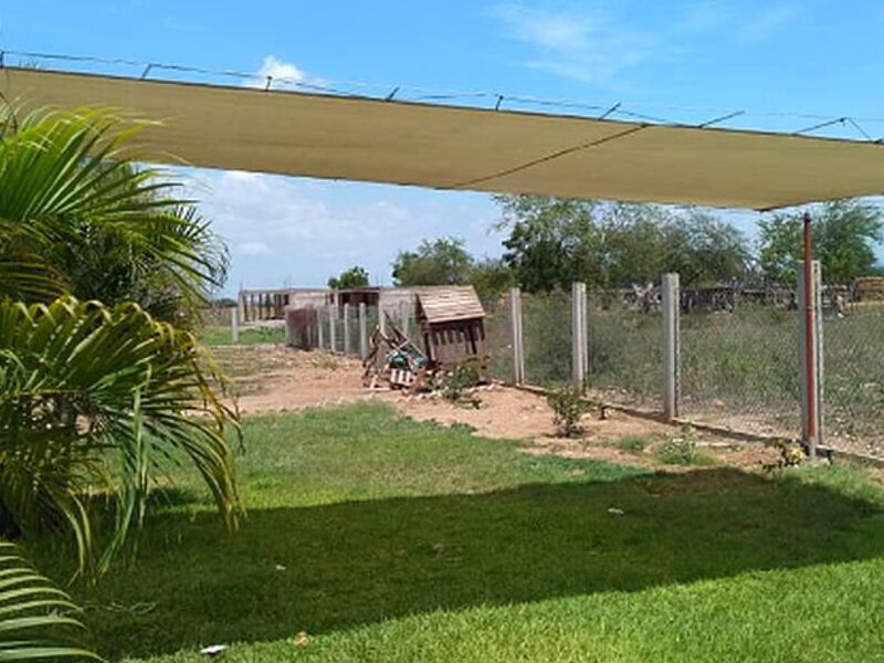 TOLDO CULIACAN 