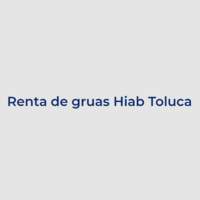 Renta de gruas Hiab