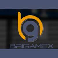 Brigamex