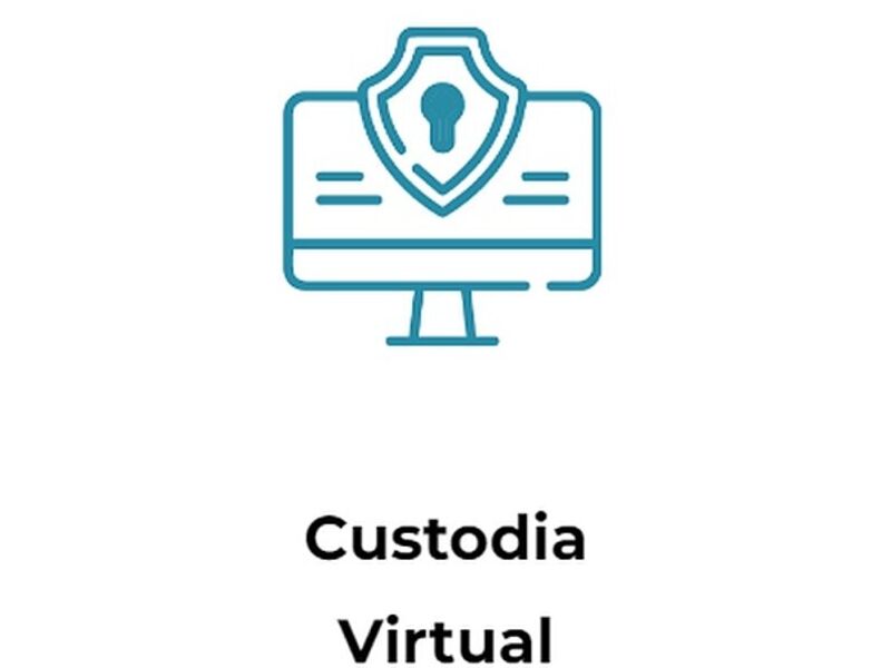 Custodia Virtual México