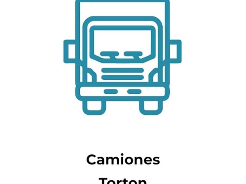 Camiones Torton México