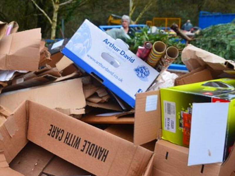 Reciclaje Cartón México 