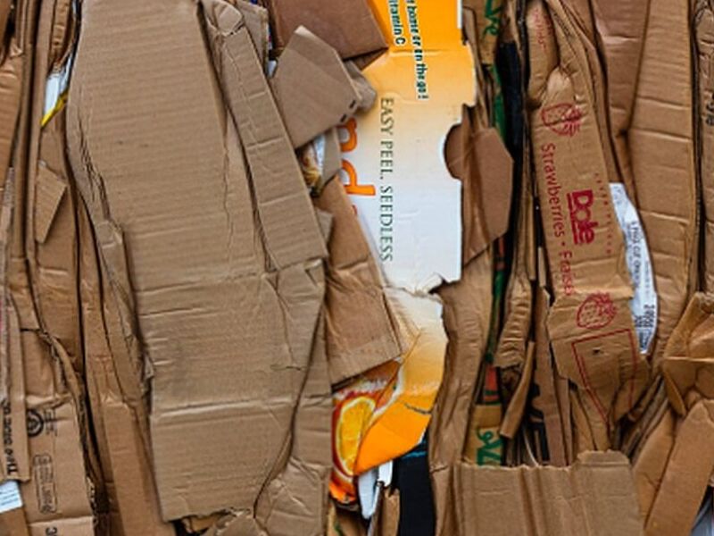 Reciclaje Cartón México 