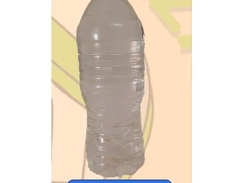 Limpiador Tapicería Colima